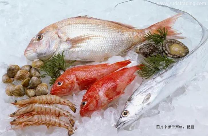 上海進口巴基斯坦水產(chǎn)品報關資料冷凍魚蝦蟹清關